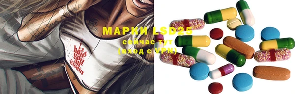 шишки Арсеньев