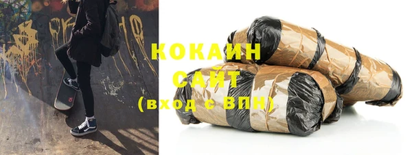 шишки Арсеньев