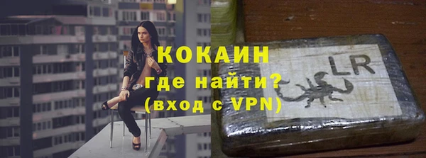 шишки Арсеньев