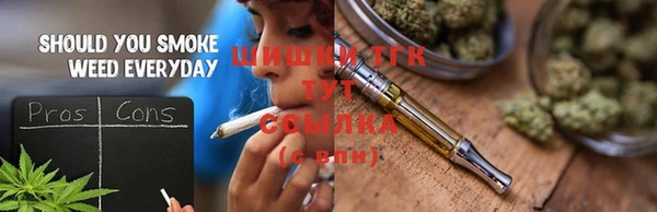 шишки Арсеньев