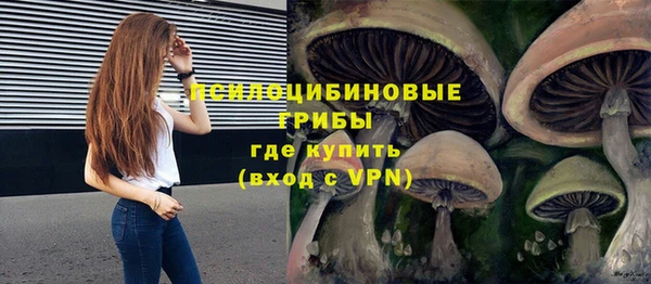 шишки Арсеньев