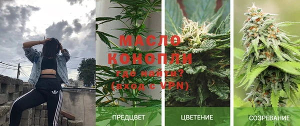 спиды Аркадак