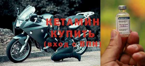 шишки Арсеньев