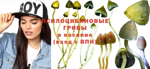 спиды Аркадак