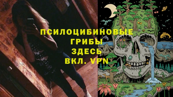 спиды Аркадак