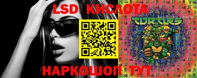 гашик Жуковский