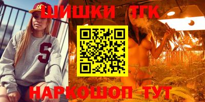 гашик Жуковский