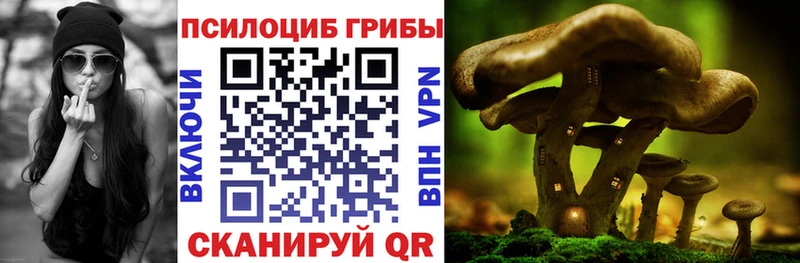 Галлюциногенные грибы ЛСД Мытищи