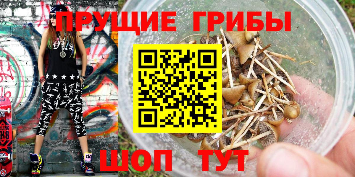 Галлюциногенные грибы Cubensis  Вход с VPN  Псилоцибиновые грибы прущие грибы  где купить наркоту  Мытищи 