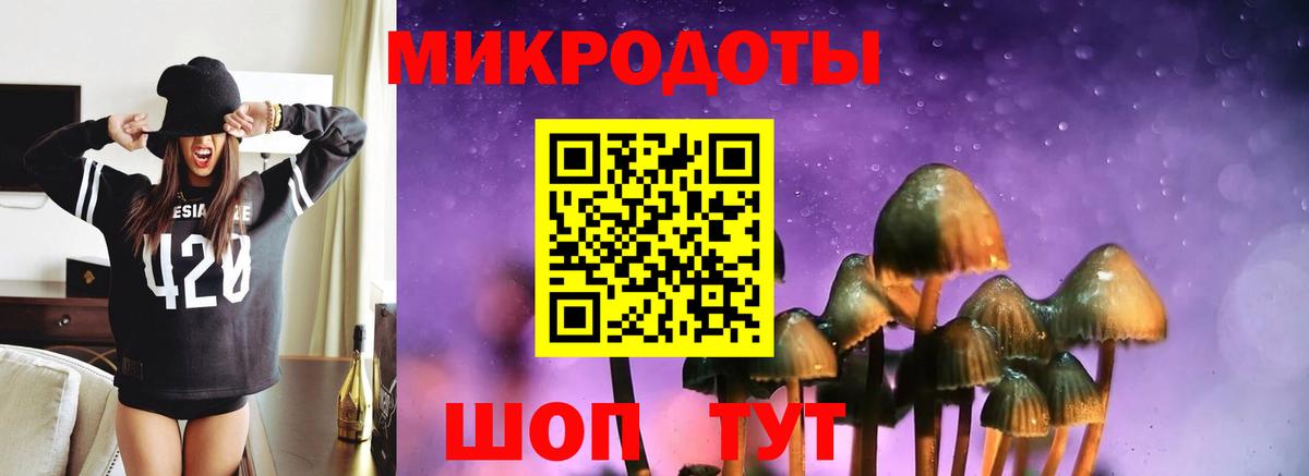 Галлюциногенные грибы Magic Shrooms Мытищи
